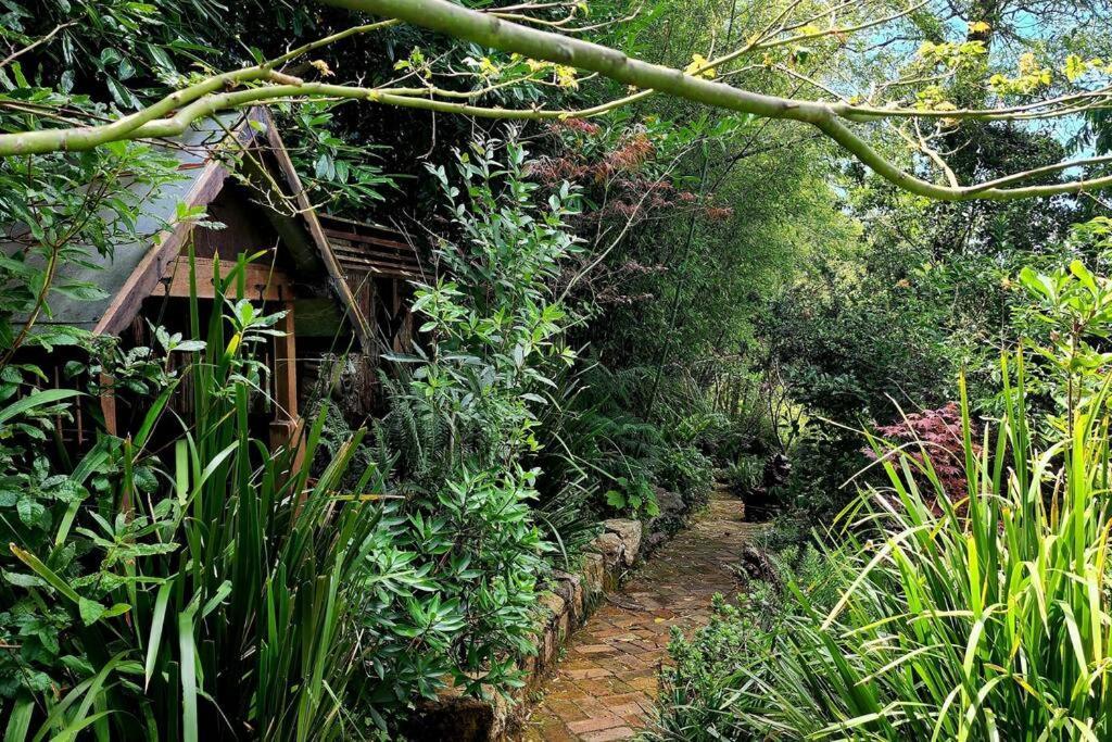 The Black Cockatoo - Secret Garden Treetops Home Катумба Экстерьер фото